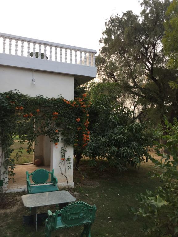 Savista Retreat Hotel Jaipur Ngoại thất bức ảnh