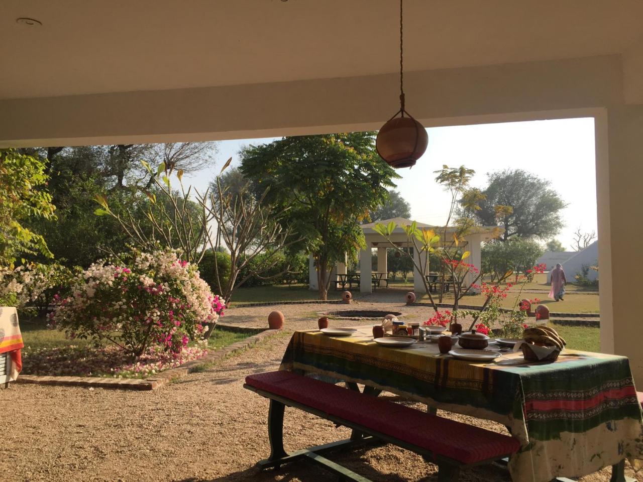 Savista Retreat Hotel Jaipur Ngoại thất bức ảnh